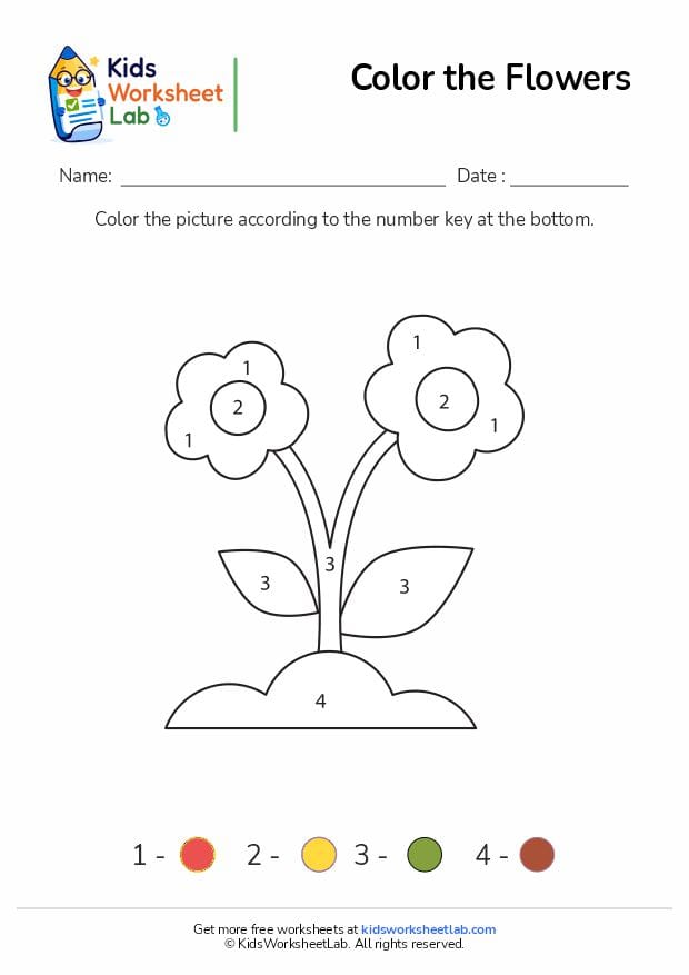 color the flowers