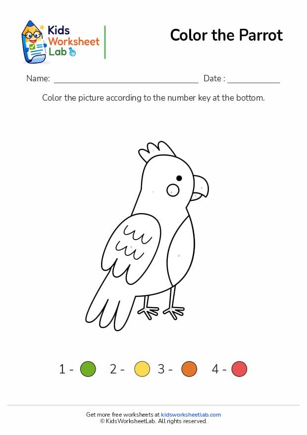 color the parrot