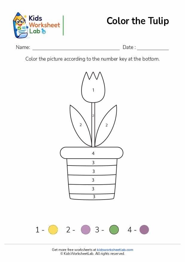color the tulip