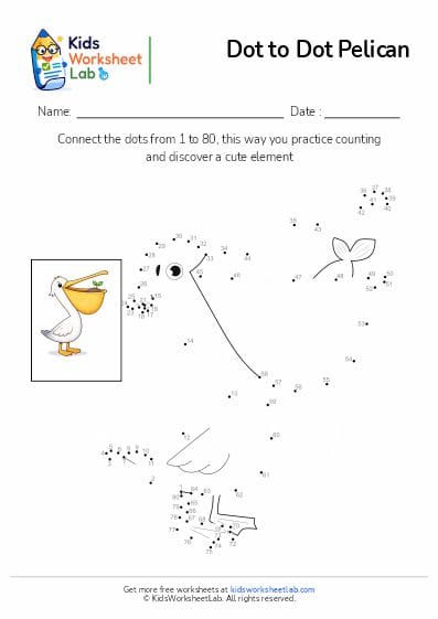pelican dot to dot worksheet