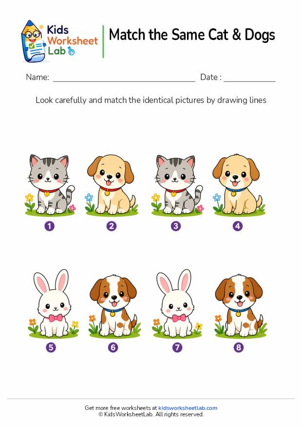 match the same cats and dogs worksheet