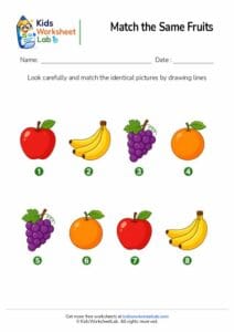 Match the Same Fruits Worksheet for Kids (Free Printable Matching Activity)