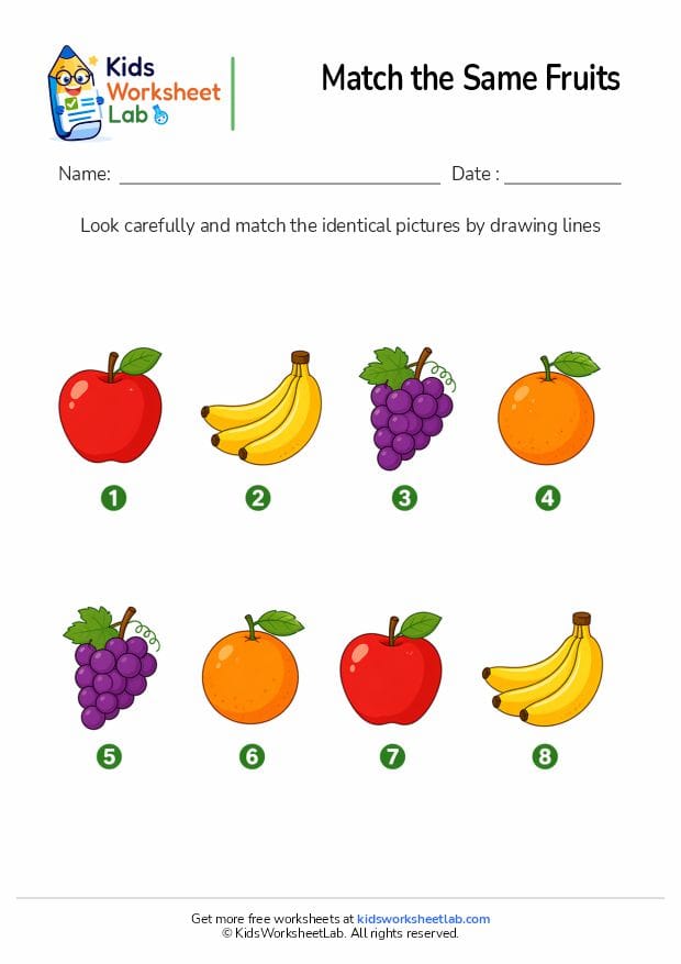 match the same fruits worksheet for kids
