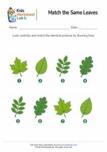 Match the Same Leaves Worksheet for Kids | Nature Matching Activity