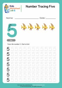 Number Tracing Five